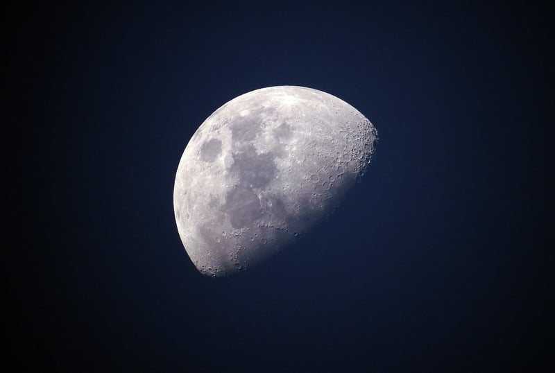Moonlit Elegance